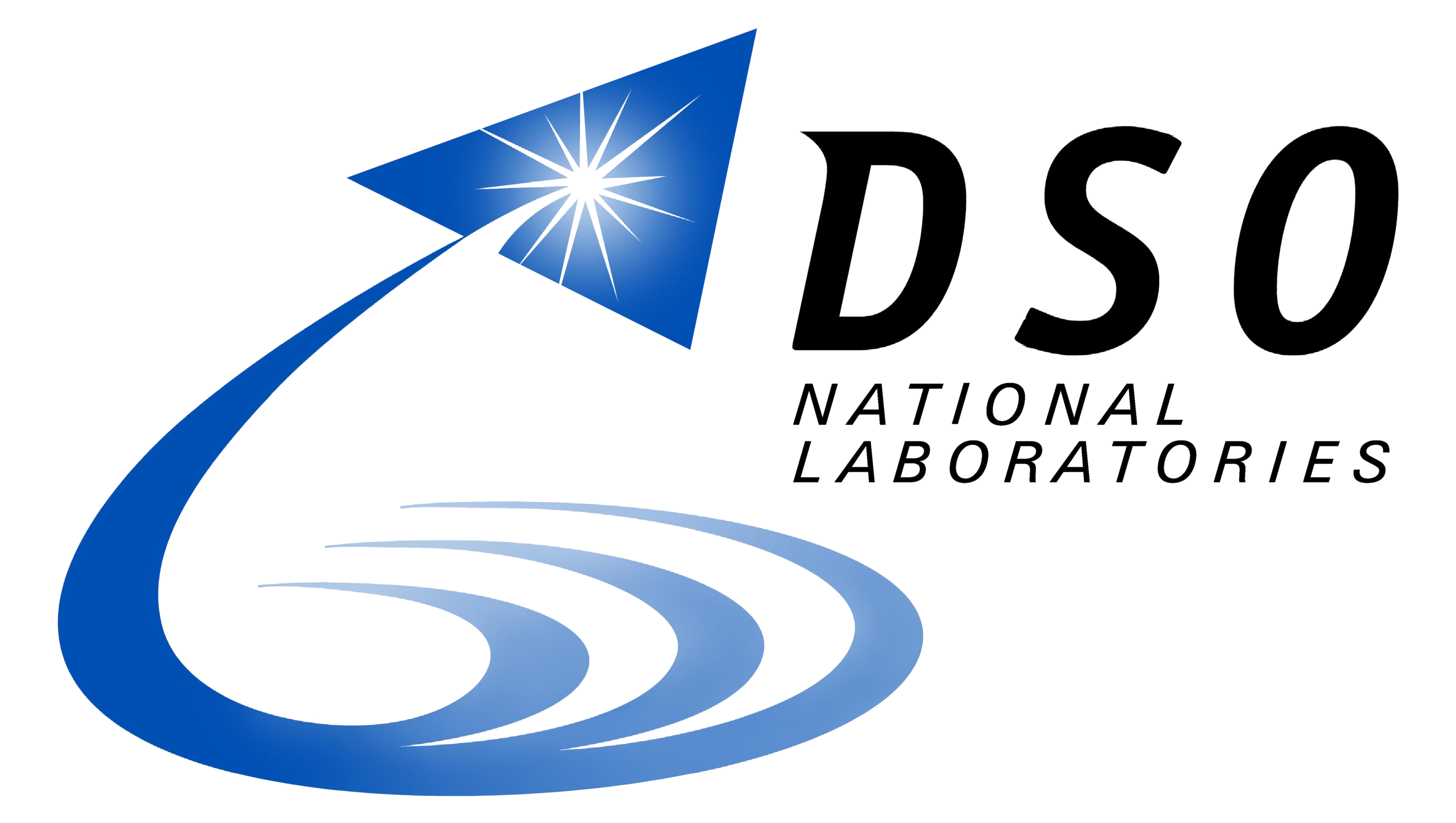 DSO Logo