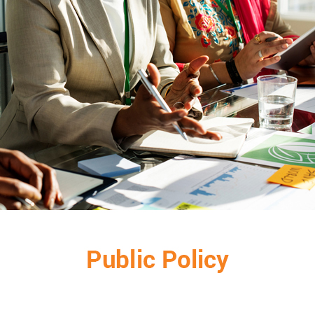 Public-Policy-Portal-thumb